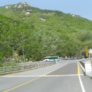 굴지농원 이미지