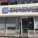 네오메디컬동물병원 이미지
