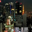 제니스 교차로 한솥도시락쪽 | 일본 도쿄 3박4일 일정 정리 후기 (feat.엄마와 함께)