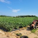 궁리보건진료소 이미지