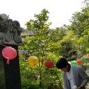 부산 기장 아이와 가볼만한 곳 : 입장료 무료 자연사찰 은진사