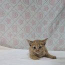 산북119안전센터 이미지