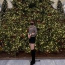 킨다릴리 이미지