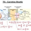 정문온누리약국 이미지