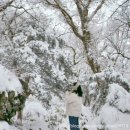 덕수교차로(평화로) | 제주 1100고지 휴게소 CCTV 통제 주차장 확인 후 겨울 한라산 눈꽃구경❄