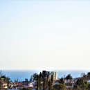 서귀포 클래식 이미지