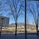 강서버섯샤브칼국수 이마빌딩점 | [내돈내산/250103] 광화문 맛집 리스트 추가! 강서버섯칼국수 한 번 먹으면 반해요(feat.악어새또간집)