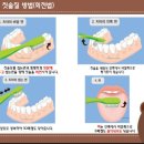 상록수어린이집 이미지