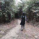 대나무숲길 이미지