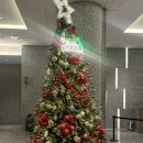 힐포인트 | [연말 모임장소 추천] 서울 3대 뷔페, 비스타 워커힐 서울 더뷔페 / 평일 디너 후기 (현대 m포인트)