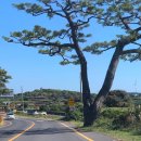 한성목장 | [힐링 제주여행(동쪽)]_2일차