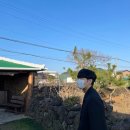라이앤미 | [제주도] 한큐에 담는 21년 2월 19일 - 21일 2박3일 제주여행 (with 준호/ 첫번째 제주여행기)