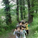 문촌유치원 Daum카페