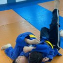 청춘유도관 구지점 이미지