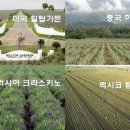이병훈농장 이미지