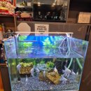 대한삼겹 | 대구 범어동맛집 대한양꼬치 잡내없는 양꼬치 삼겹꼬치 후기