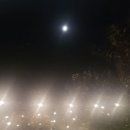 서산클럽아일랜드후기