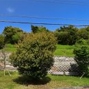 서귀포농협상효지점 이미지