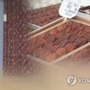완주감생산자협동조합