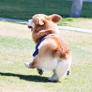 소소취향 이미지