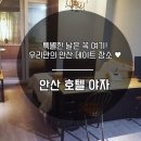 안산중앙호텔야자 네이버블로그