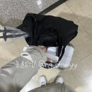 ★가보자 GO 탐방★ | 제주도 한라산 등반기｜ 한라산탐방예약, 등산복, 준비물, 시간별 등산위치, 백록담 후기