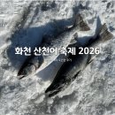 매일낚시터 | [강원도/화천] 화천산천어축제 2026 예약낚시터 방문 후기