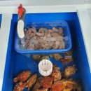 인사이드함평 | [전남 함평 코다리맛집]코다리조림/찜 전문 덕장진땡이 함평점 찐 후기