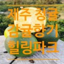 감귤향기힐링파크 이미지