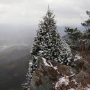 진악산 이미지