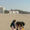 태안 청포대 독채가족 율라 이미지