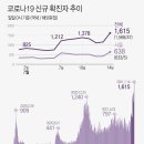 210715 스카이 출신 20대 여성은 왜 도배사가 됐을까 이미지