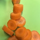 오가네 농장 | 제주 구좌 흙당근 후기 | 아빠가 직접 갈아 만든 제주당근 당근주스 솔직 리뷰 (feat. 오가네팜)