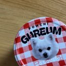 반려동물의류제작(중급) | 소지품에 붙이는 반려동물 맞춤스티커 후기, 비비드레인 UV DTF 스티커