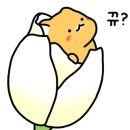 호치킨 구리등기소점 이미지