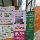 숲속애소 | 전북 익산 아이와 가볼만한 곳 왕궁포레스트 주차 가격 꿀팁 숲속애소 맛집 왕궁포레스트 카페