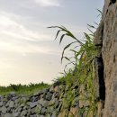 선재도해송펜션 민박 | 인천 섬여행 완벽가이드 (무의도, 선재도, 신시모도)