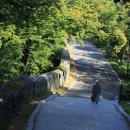 양산천변 | 양산 현지인 추천 숨은 명소,비밀장소,한적한 힐링 스팟