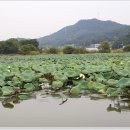 포인트낚시터 이미지