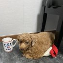 나투어뮤직 - 전주시 완산구 당산로 96 | 나투어뮤직