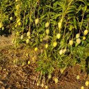 돈선농장 이미지