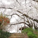 충남역사박물관 이미지