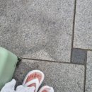 네스트홍천 이미지