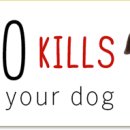 광주동물약국 이미지