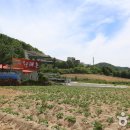 대관령황태촌 이미지