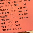 연세맘스그린여성의원