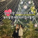 코코호도 의왕내손점 | 강아지랑 크리스마스 데이트 "의왕롯데아울렛 타임빌라스"(애견동반, 트리명소)