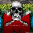 United States of Monsanto: GMO giant is now litigation proof 이미지