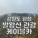 동화카프라자 | 평창] 가을 단풍 구경 '발왕산 관광케이블카' 탑승 후기 l 강원도 평창 가볼만한 곳, 강원도 당일치기...