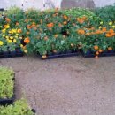 청풍한옥민박 이미지